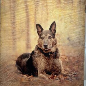 Meet your Posher, Jami